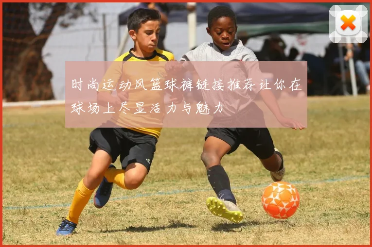 时尚运动风篮球裤链接推荐让你在球场上尽显活力与魅力