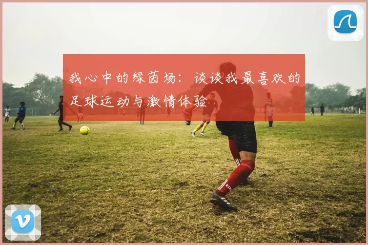 我心中的绿茵场：谈谈我最喜欢的足球运动与激情体验