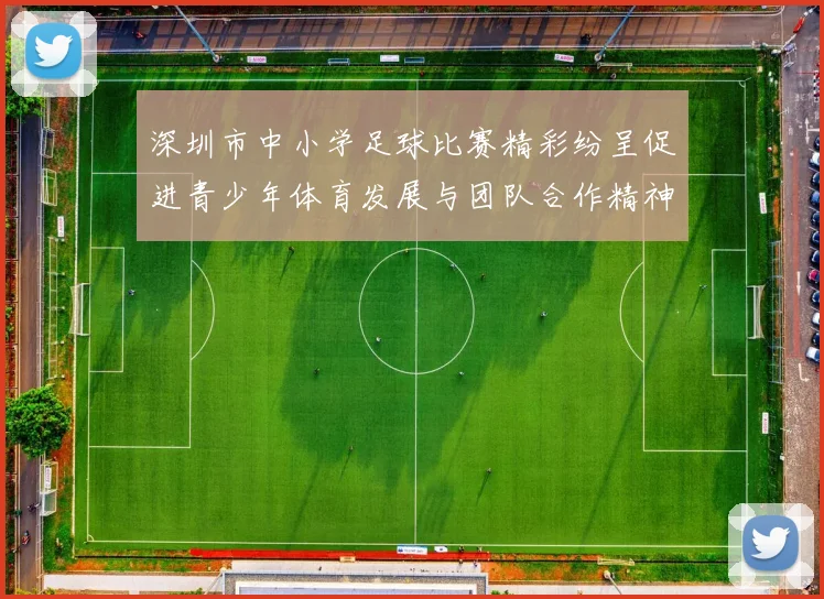 深圳市中小学足球比赛精彩纷呈促进青少年体育发展与团队合作精神