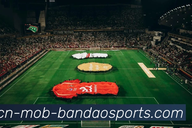 半岛体育中国APP 高清赛事图